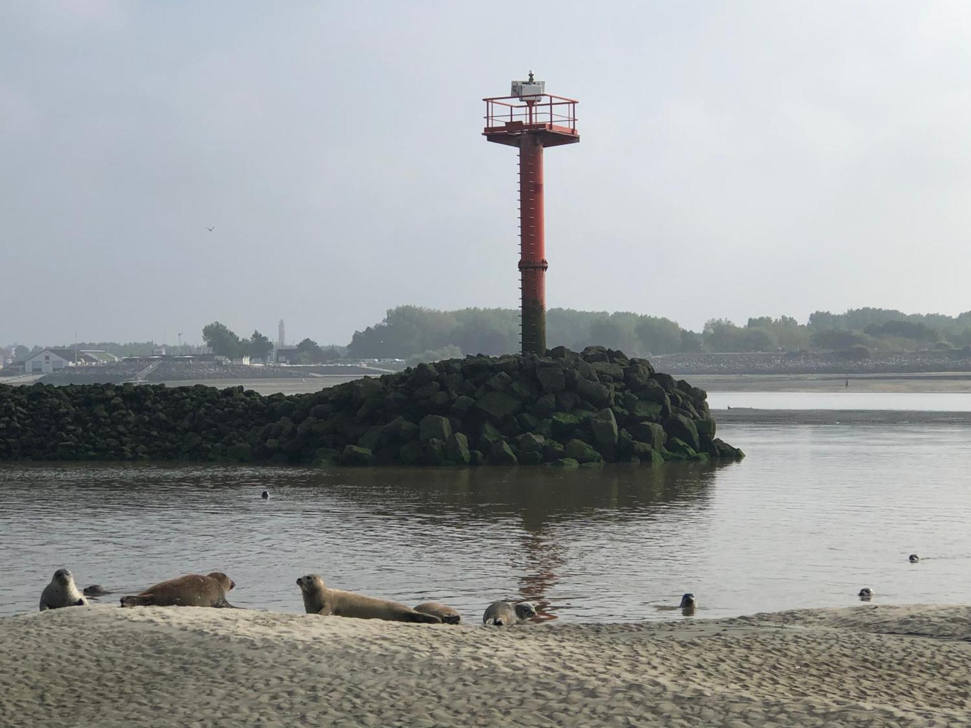 L'Escapade - Hardelot Plage - Parking Prive Neufchâtel-Hardelot المظهر الخارجي الصورة